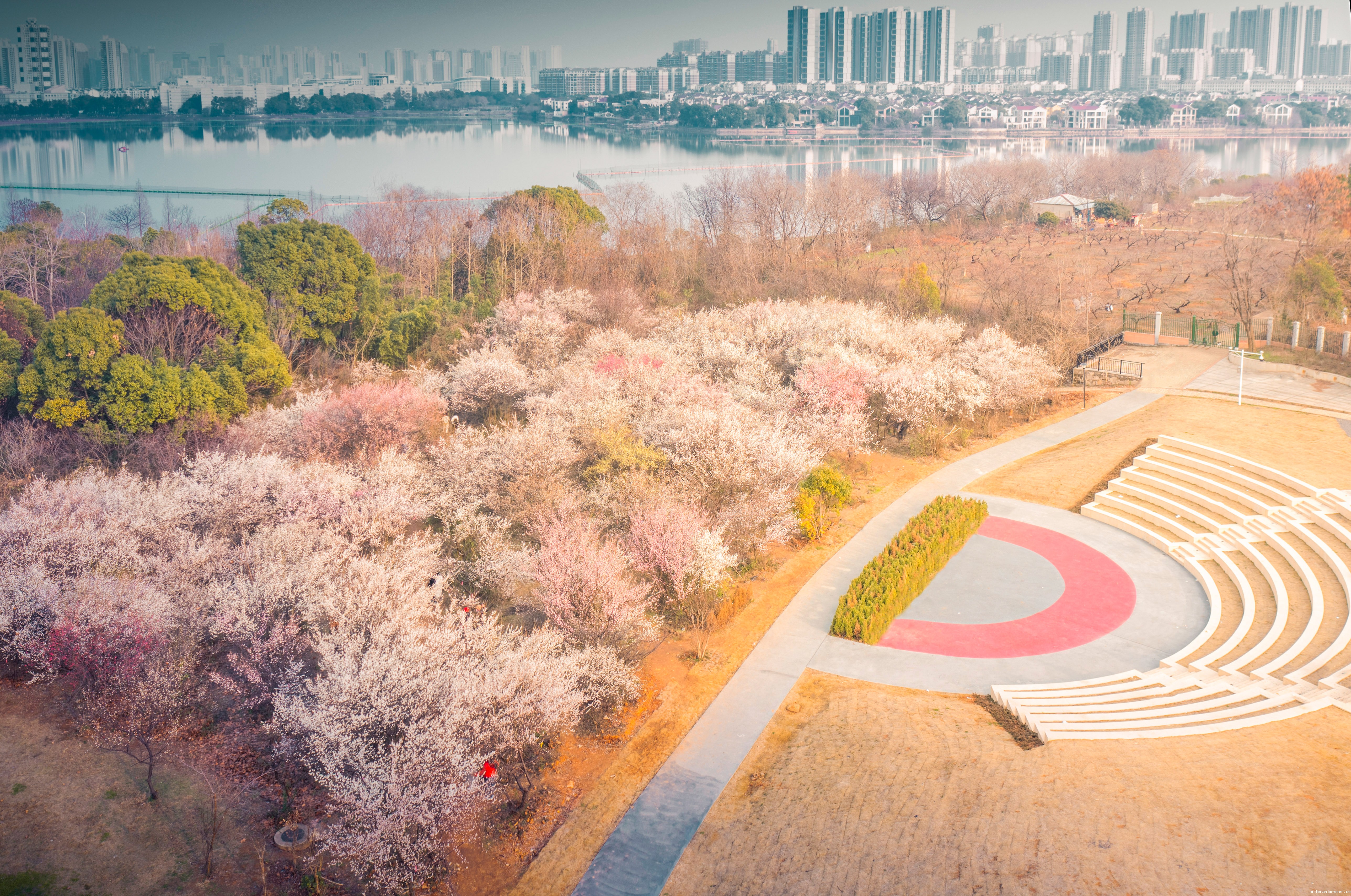 2 乐乐园梅花1(学通社记者 周全 摄)