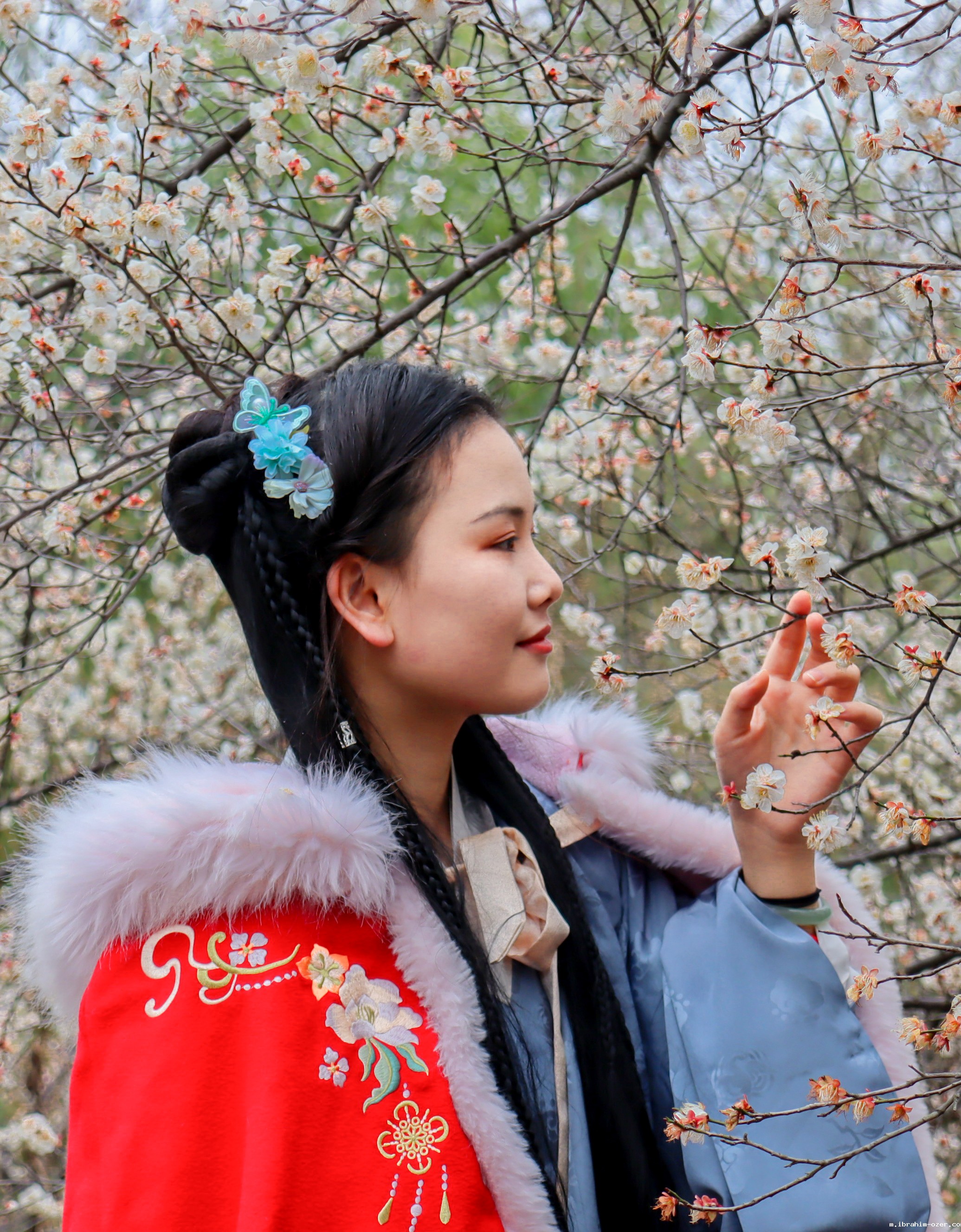 15 嗅梅(学通社记者 张欣 摄 )_cr